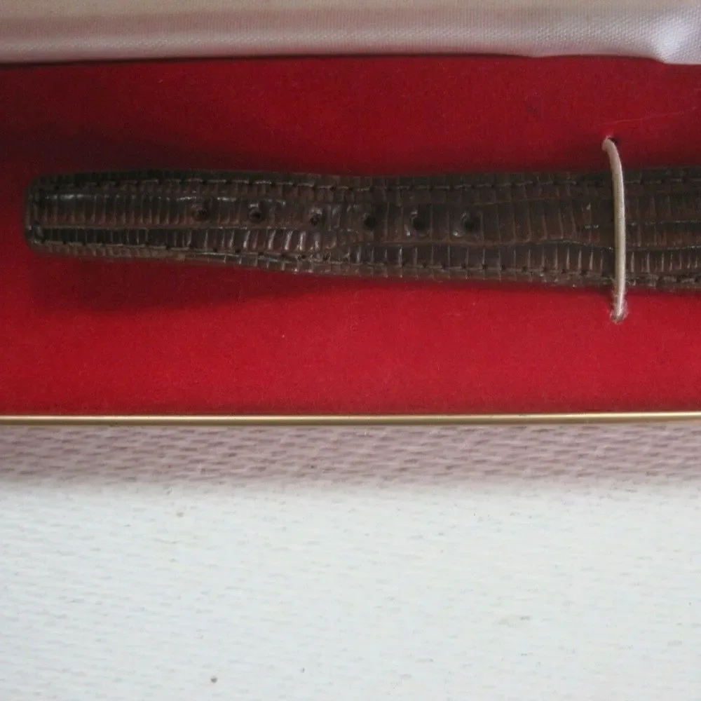 ELECTRONICALLY TIMED Watch Band Strap Switzerland